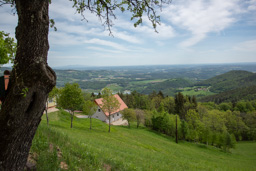 Stubenbergsee  13/36